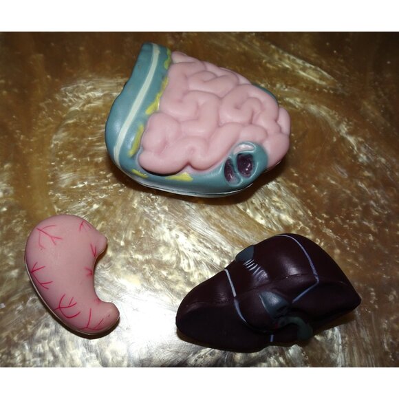 Vintage Plastic Human Organ Miniatures liver kidney intestines oddity curiosity - Picture 3 of 10